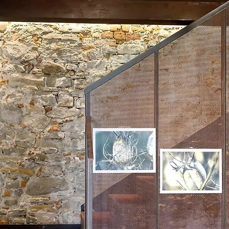 Feriehus Castello Medioevale Nel Monregalese *